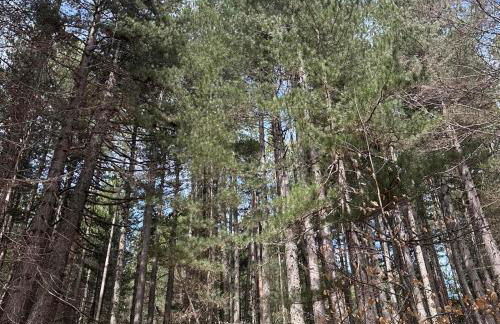 Antico Borgo - Via Napoli, 2 - Foto 31