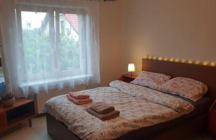 Guzikowa Chata - Foto 22