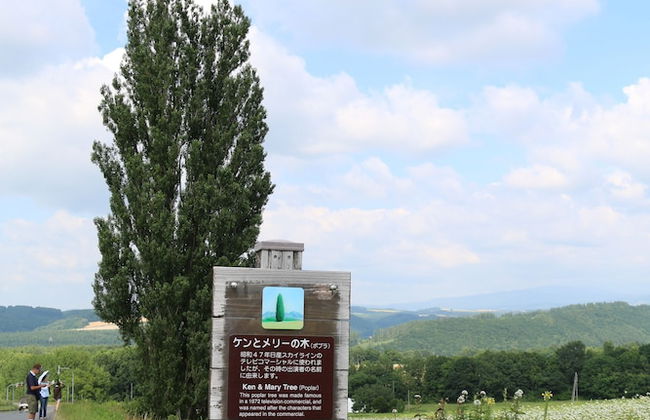 Cottage Ken&Mary - Foto 33