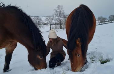 Ferienhaus Schilz II - Urlaub auf dem Bauernhof - Foto 6