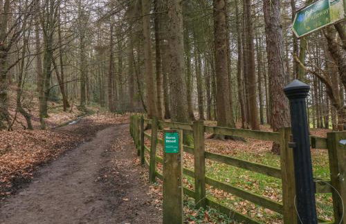 Chestnut Cottage - Foto 20