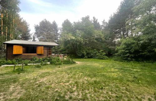 Chatka nad Liwcem - Photo 12