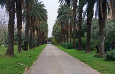 Maison Du Parc - Foto 21