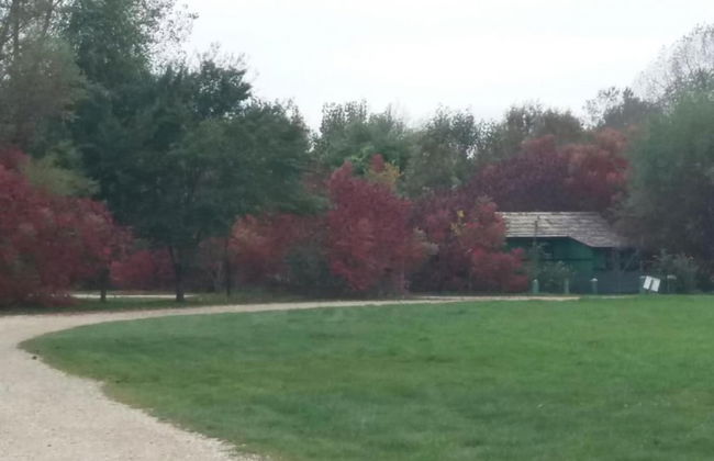 Torine - Capacious Holiday Home in Neorić with Heated Swimming Pool - Foto 40