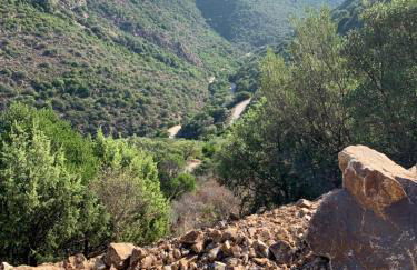 Casa Felice - Foto 11