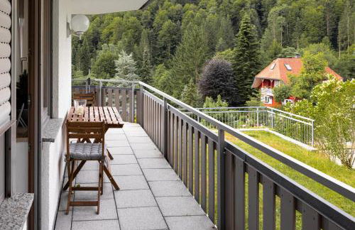 Ferienwohnung Panoramablick - super für deine Familie und die besten Aussicht in ganz Todtmoos - Foto 33