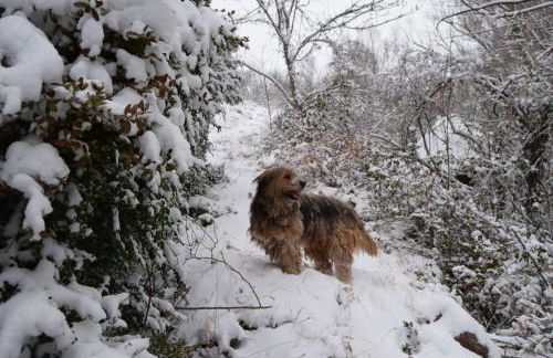 Ca L'Emili - Foto 22