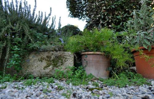 Villa Salvini - Foto 7