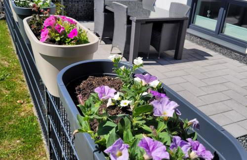 Eifelherz mit Sonnenterrasse - Foto 32