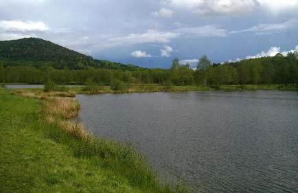 Les Gites de l étang :Studio à 20 mn de Gerardmer - Foto 44
