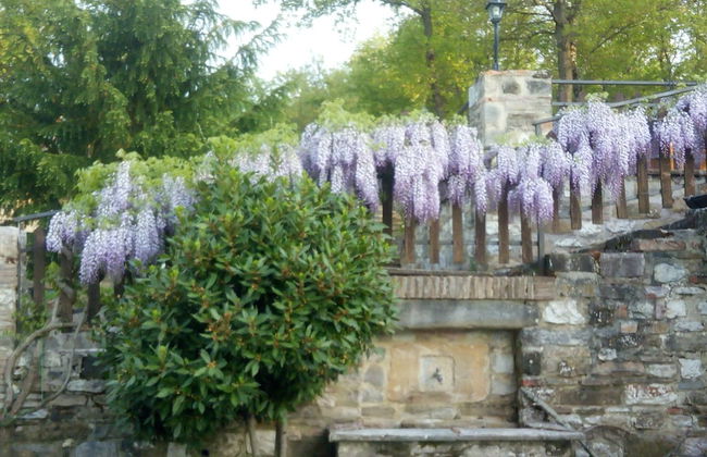 Agriturismo Le Giare - Country House - Photo 39