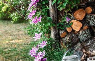 Lavender House - Foto 30