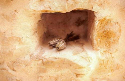 Heritage House Vrime - stone house with heated pool - Photo 48