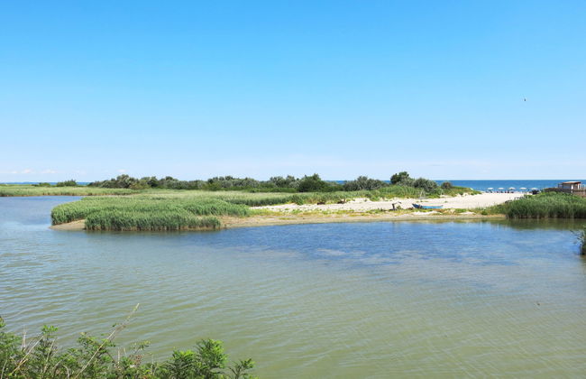 Azienda Agricola Forzello - Foto 31