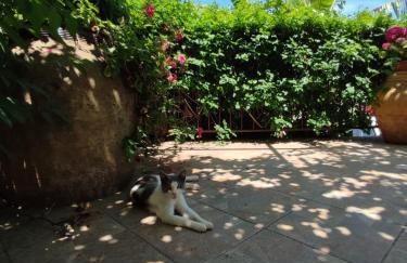 Appartamenti Cerami con parcheggio a un passo dal mare - Foto 15