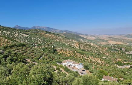 Entre Vistas - Foto 37