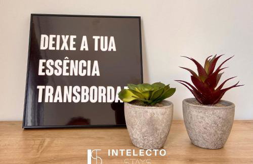 Apê 1104•Central, Jacuzzi, Academia, Sala de jogos - Foto 4