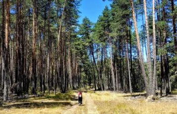 Alojamiento Rural Los Hacheros - Foto 42