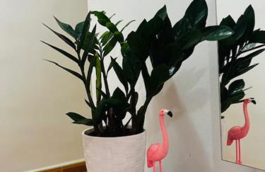 Atico Julia Plaza - Foto 11