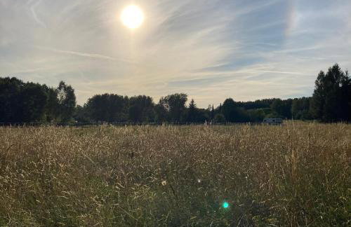 Letnia Oficyna - Foto 30