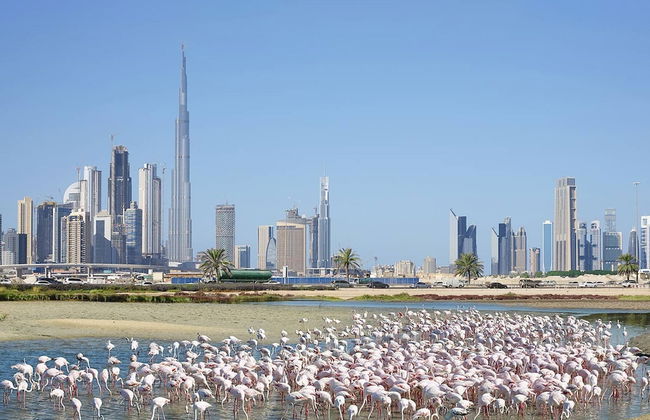 Cosmos Living - Dubai Creek Harbour - Foto 32
