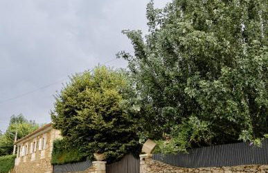 Casa das Nogueiras - Foto 49