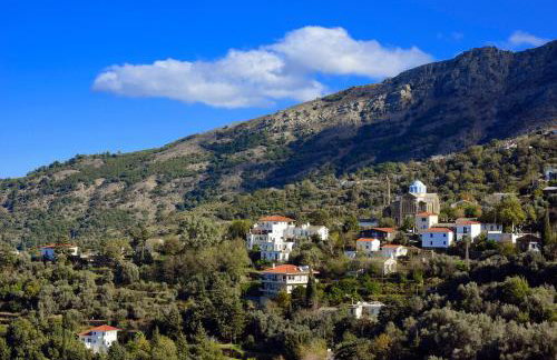 House in Εndless green - Arethousa, Ikaria - Photo 56