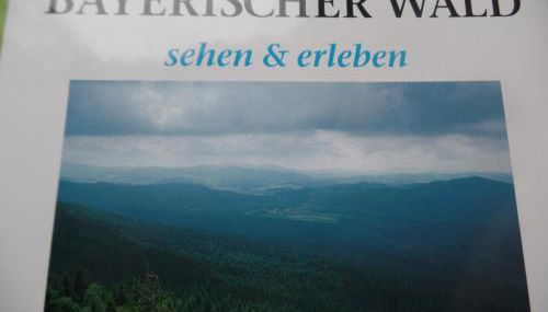 Am Waldrand - Foto 2