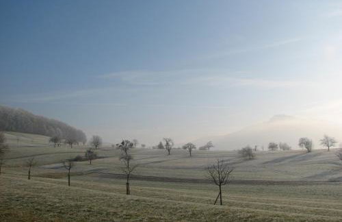 Alte Schmiede - Foto 21