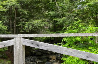 The Brookside Lodge & Cottage - Foto 24