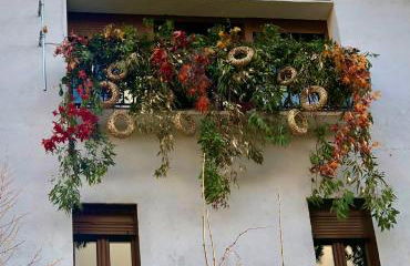 Apartamentos en el Valle del Jerte Flores para Angela - Foto 58