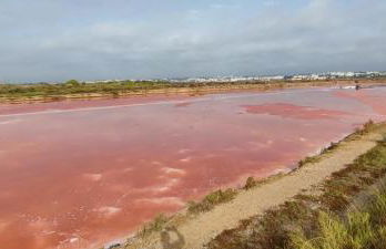 The King's View - Foto 46