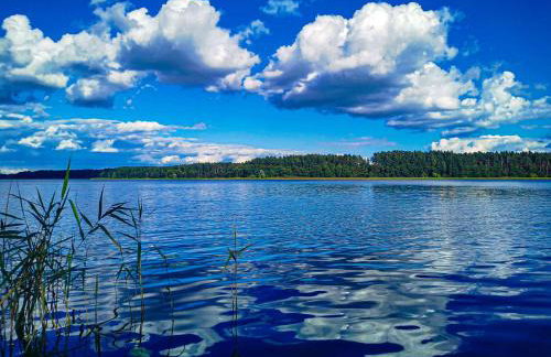 Ostoja Stacze - Foto 74