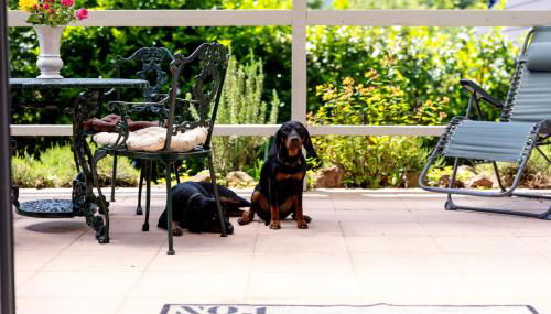 Roter Fuchsbau am Eichwald - Foto 3, Garden