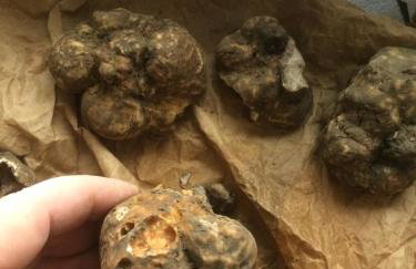 Motovun Bellevue - amazing view, comfortable - Foto 45