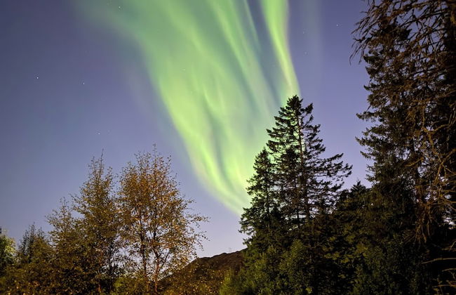 Rorbuene Svolvær Havn - Foto 25