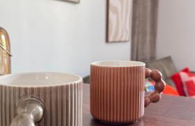 T2 cosy tout équipé, parking et wifi gratuit, Castres - Foto 25