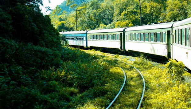 Morretes & Antonina Day Trip by Train - Photo 5