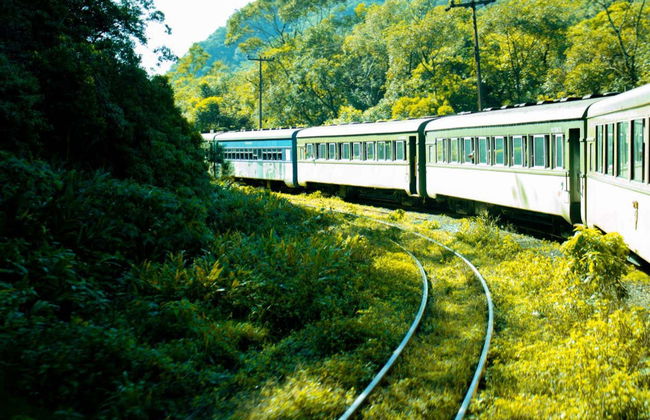 Morretes & Antonina Day Trip by Train - Photo 5