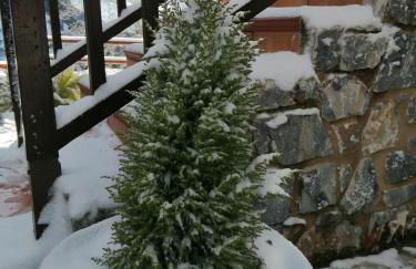 Ypsus House Stemnitsa - Photo 23