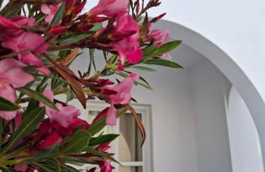 Alloro Perissa - Foto 63