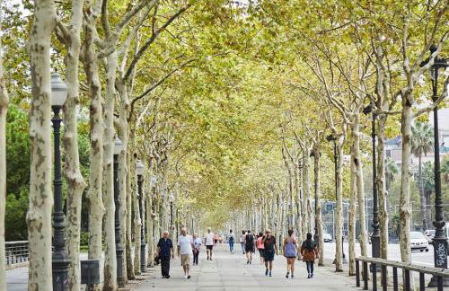 Centric and spacious, excellent for families - Photo 15