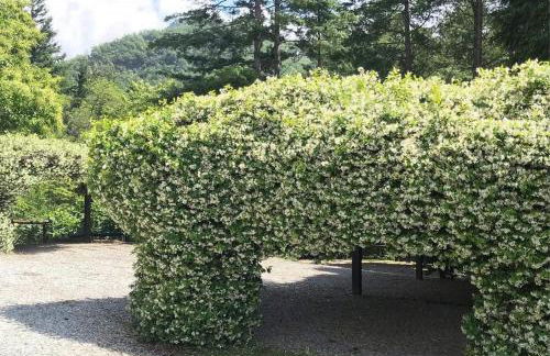 Il Bosco di Campo Marzano studios - Foto 24