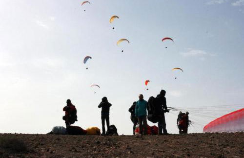 Pura Vida - Ventanas De Lanzarote - Foto 8