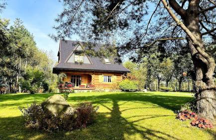 Sękata Chata - drewniany domek z jacuzzi - Foto 7