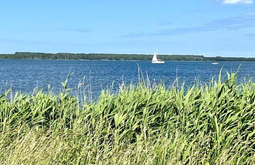 Ferienhaus Rügen-Relax - Foto 43