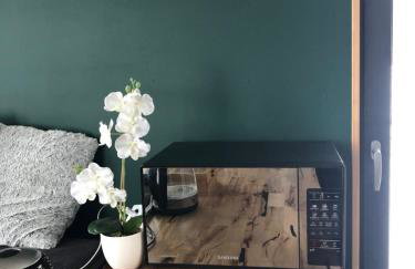 Samsara Domek koło Międzygórza Z sauną i klimatyzacją - Foto 64