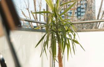 K15 Cozy, Unique & Spacious 3-Room Apartment with Balcony or Single Room by LIPA - Foto 7