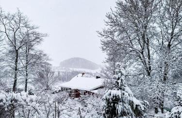 Lodge mit Sauna & Seeblick für Naturliebhaber - Foto 24