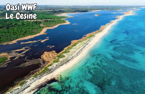 Macalù - Seaside Escape near Lecce - Foto 38